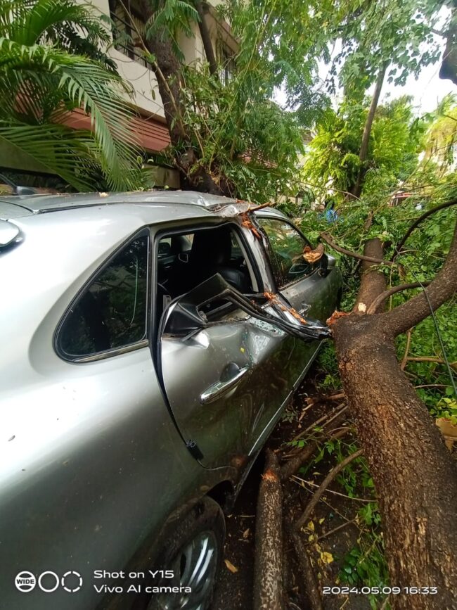 Pune Rain News | पुणे शहरात २१ ठिकाणी झाड पडीच्या घटना! Pune Rain News | पुणे शहरात २१ ठिकाणी झाड पडीच्या घटना!