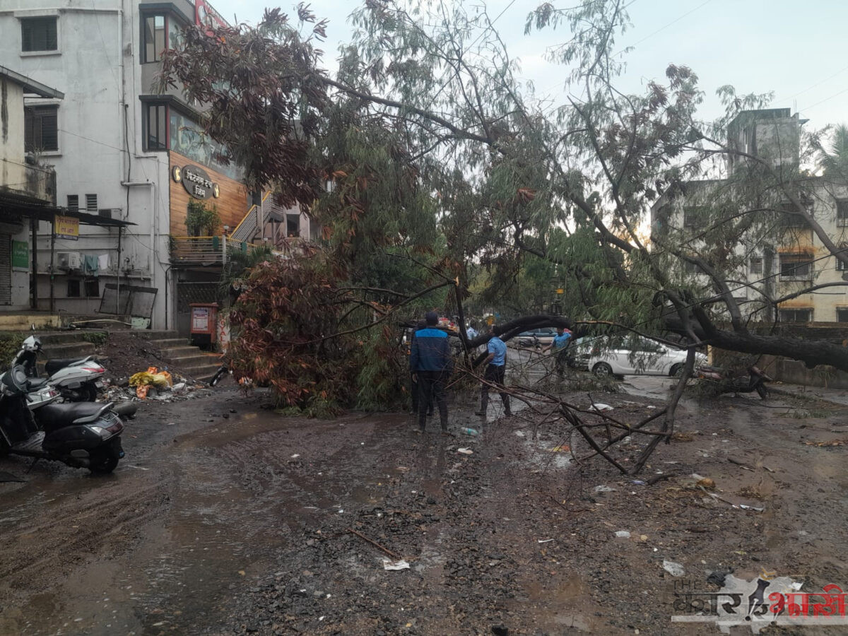 Pune Breaking News | आजच्या मुसळधार पावसाने ८२ झाडपडी च्या घटना | एका महिलेचा मृत्यू | खूप ठिकाणी पाणी साचले तर एक सीमाभिंत कोसळली