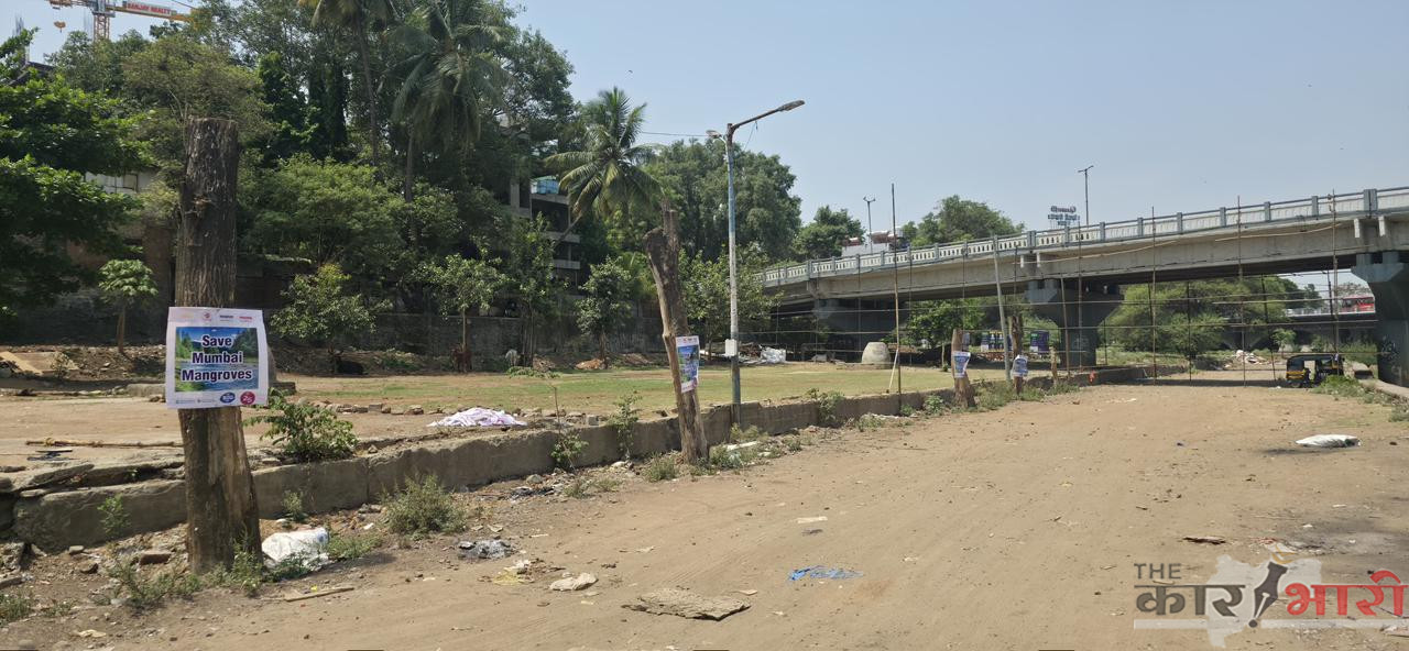 NCP -SCP on Tree Cutting | गणेशखिंड रस्त्यावरील 500 हून अधिक झाडांच्या तोडीवरून वाद | राष्ट्रवादी शरद पवार गट आक्रमक NCP -SCP on Tree Cutting | गणेशखिंड रस्त्यावरील 500 हून अधिक झाडांच्या तोडीवरून वाद | राष्ट्रवादी शरद पवार गट आक्रमक