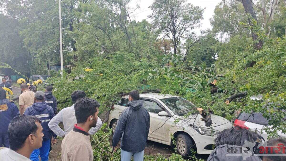 Pune Rains | संततधार पावसामुळे पुण्यात २४ तासांत ८३ झाडे कोसळली | गेल्या ६ दिवसांत १६३ घटना